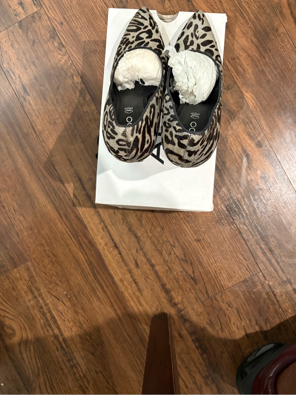 Aldo Leopard Print Pointed Toe Flats in Tan and Black